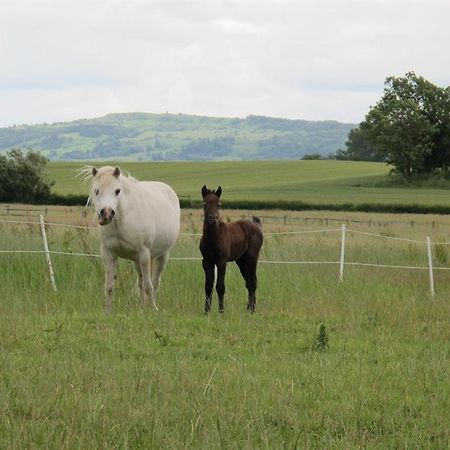 Bluebell Farm Bed and Breakfast Upton upon Severn Buitenkant foto